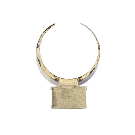 Samsung Galaxy S10 Titreşim Motoru G973F